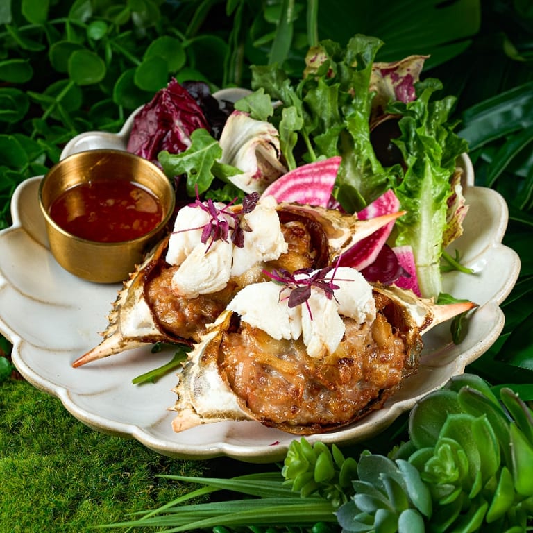 Savor Our Lettuce Wraps