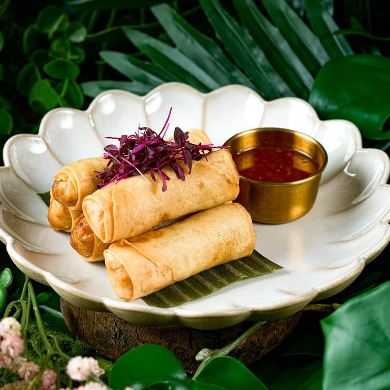 Savor Our Spring Rolls