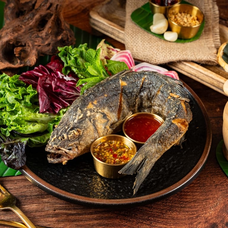 Explore our vegetarian food menu