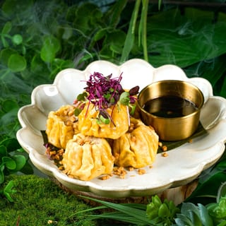 Thai Dumplings (5)